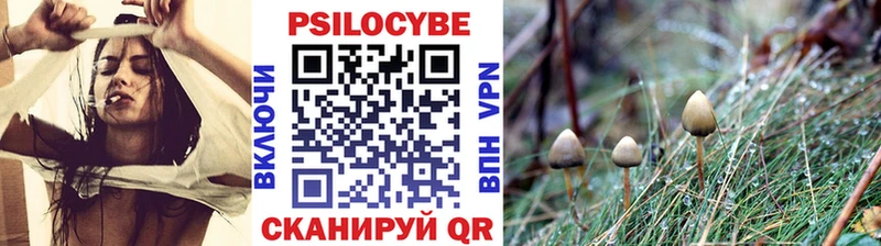 shop какой сайт  Новокузнецк  Галлюциногенные грибы Cubensis  купить наркотики цена 